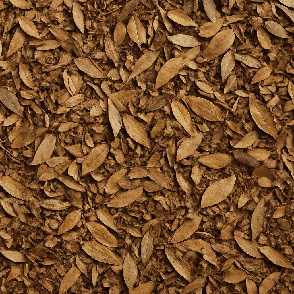 Dry leafs